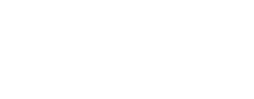 The Avalon Logo White